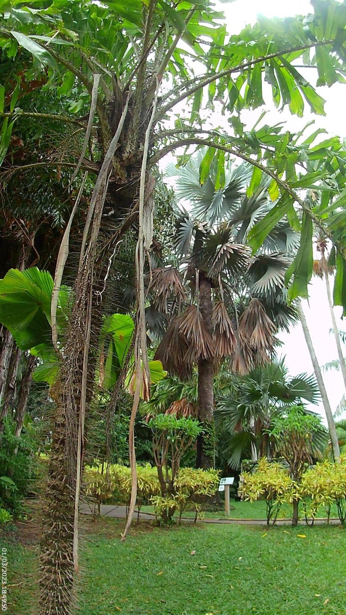 Le Gosier, Loft Ravissant